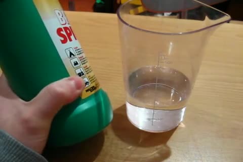 Scheibenenteiser selber machen