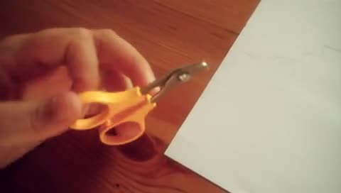 Krallen schneiden beim Kaninchen