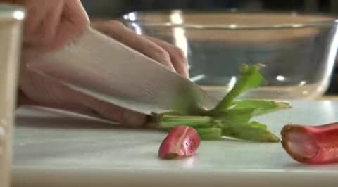Rhabarber richtig zubereiten