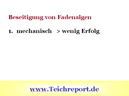 Was tun gegen Fadenalgen im Gartenteich