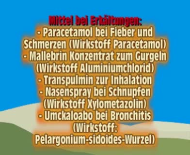 Reiseapotheke: Welche Medikamente man im Urlaub dabeihaben sollte
