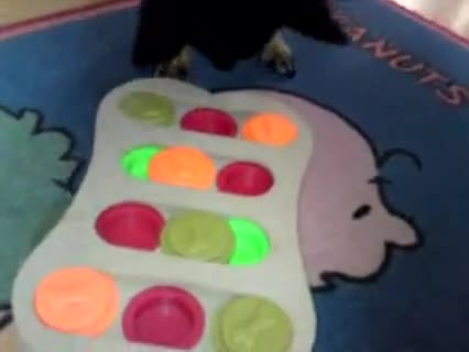 Intelligenzspiele für Hunde gegen Langeweile