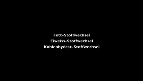 Lebensmittel mit hohem Vitamin B-Gehalt