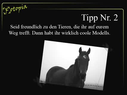 Drei Tipps zur Fotografie (die man nicht zu ernst nehmen sollte)