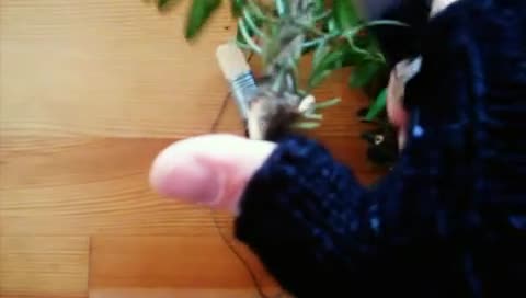 Grabgesteck selber machen