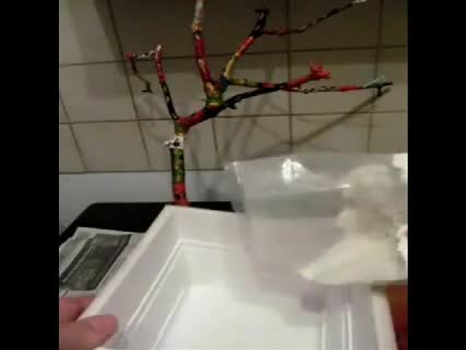 Schmuckständer basteln aus einem Ast