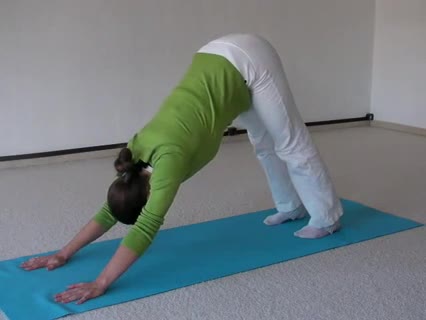 Hund - Yoga Asana für innere Ruhe und Kraft