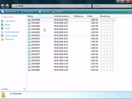 Windows Vista: Mehrere Dateien auf einmal umbenennen