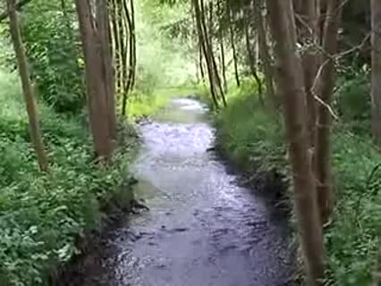 Meditation am Grenzbach