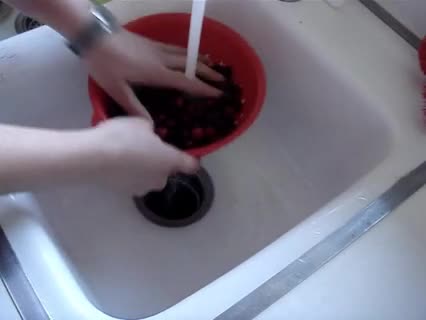 So macht man eine Cranberry Sauce zu Gans, Ente oder Wild 