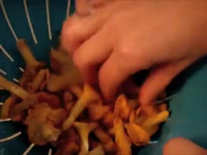 Kochen: Spaghettoni mit Pfifferlingen
