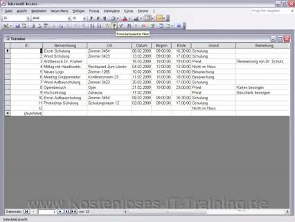 Access 2003 Filter nutzen Video-Tutorial-Training gratis kos