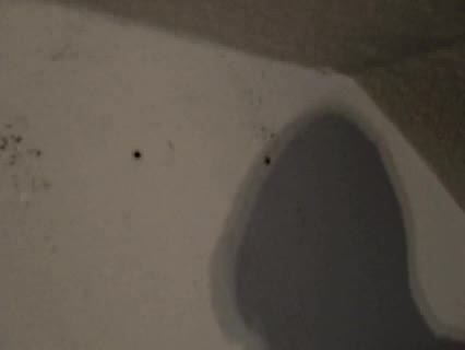 Dübel entfernen und alte Dübellöcher schließen