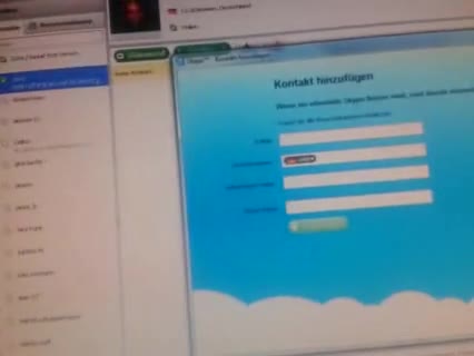 Skype Erläuterung