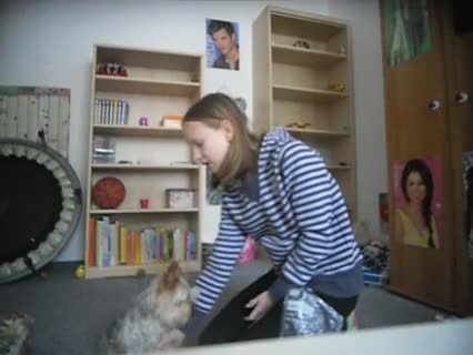 Wie man dem Hund 