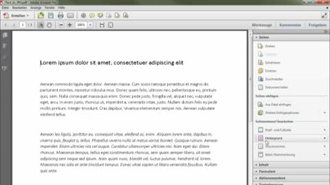 PDF bearbeiten mit Adobe Acrobat X