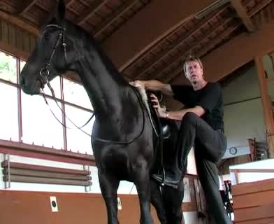 Reiten - Sicher aufsitzen vom Boden