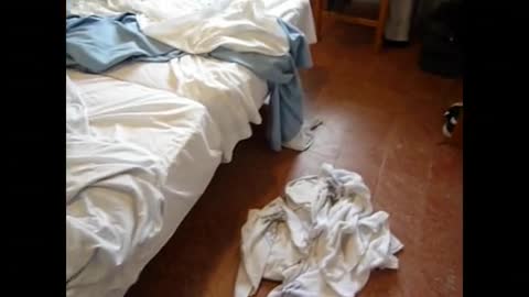 Tipp: Wie ich mein Hotelzimmer verlasse, wenn ich möchte, dass es gereinigt wird