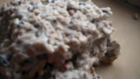 Meisenknödel / Vogelfutterkugeln selbst machen
