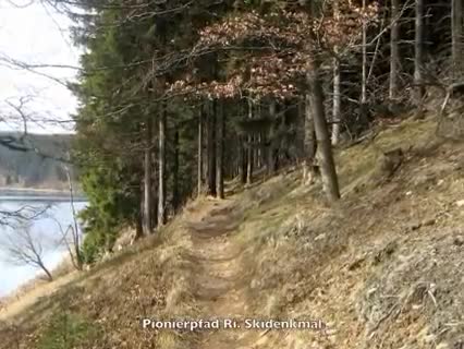 Wandertour durch den Harz