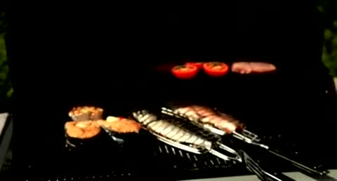 Kohle oder Gas? Fisch grillen - aber richtig!