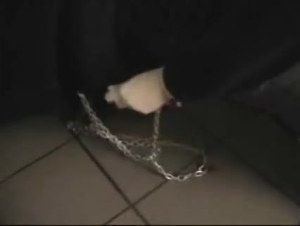 Schneeketten montieren - geht ganz einfach!