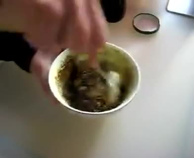 Italienischer Nudelsalat