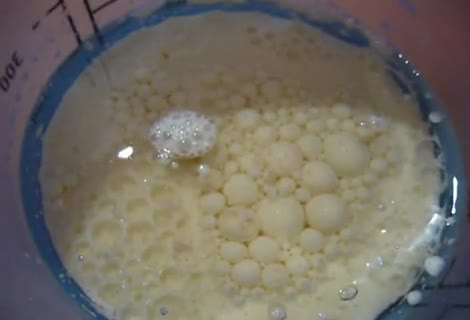 Vegane Mayonaise herstellen 