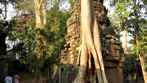 So schön ist der Tempel Ta Phrom in Angkor