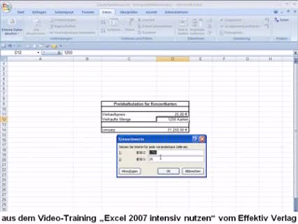 Excel 2007 Szenario-Manager nutzen 