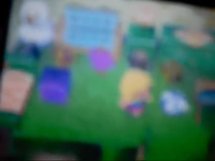 Animal Crossing Wild World-Meine Stadt