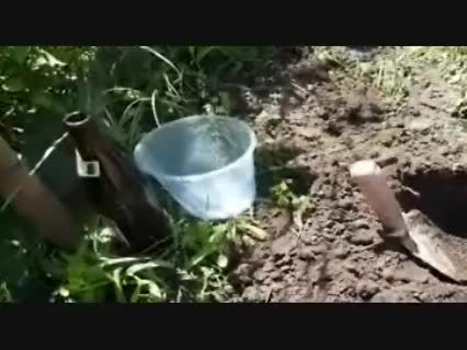 Schneckenfalle für den Garten bauen