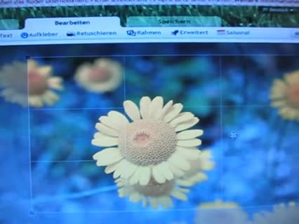 Kostenlose Fotobearbeitung online