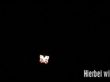 Lightpainting Tipps - Kreativ mit Lichtstempeln - Leuchtende Schmetterlinge