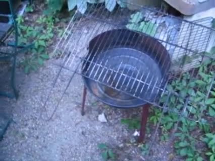 Grill reinigen