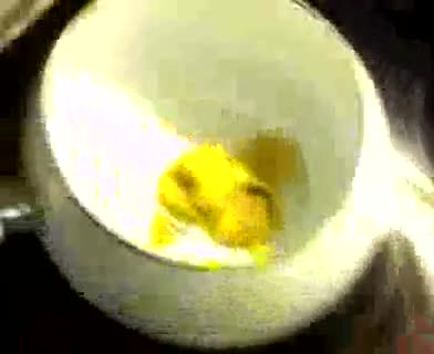 So bereitet man ein Fleisch-Fondue vor