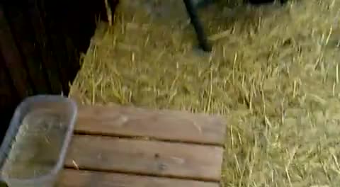 Viel Platz für Kaninchen :D