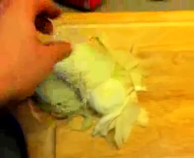 Apfelrotkohl: Beilage zu Gans und Ente