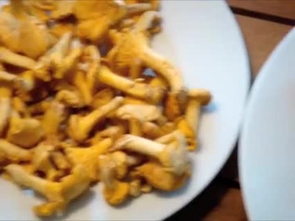 Kochen: Pilzquiche