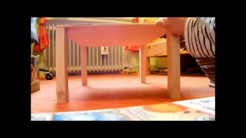 Meerschweinchen Unterstand schnell bauen.