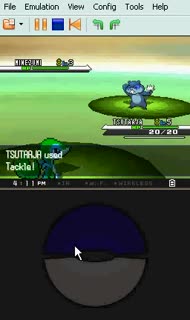 Pokemon Black Problem...