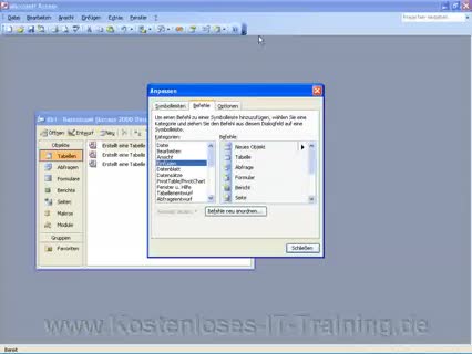 Access 2003 Symbolleisten anpassen Video-Tutorial-Training g