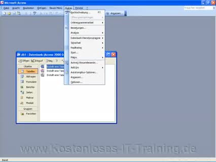 Access 2003 Menüs komplett anzeigen Video-Tutorial-Training