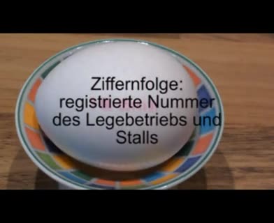 Eier richtig lagern