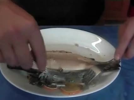 Fisch filetieren