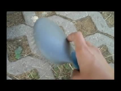 Pferdepflege und Putzzubehör