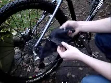 Mountainbike putzen, Teil2: Die Pflege des Bikes
